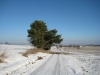 kluk_1-1-2011_13