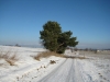 kluk_1-1-2011_14