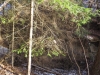 panorama-1