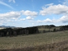 panorama1