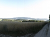 panorama1