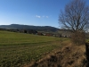 panorama-1